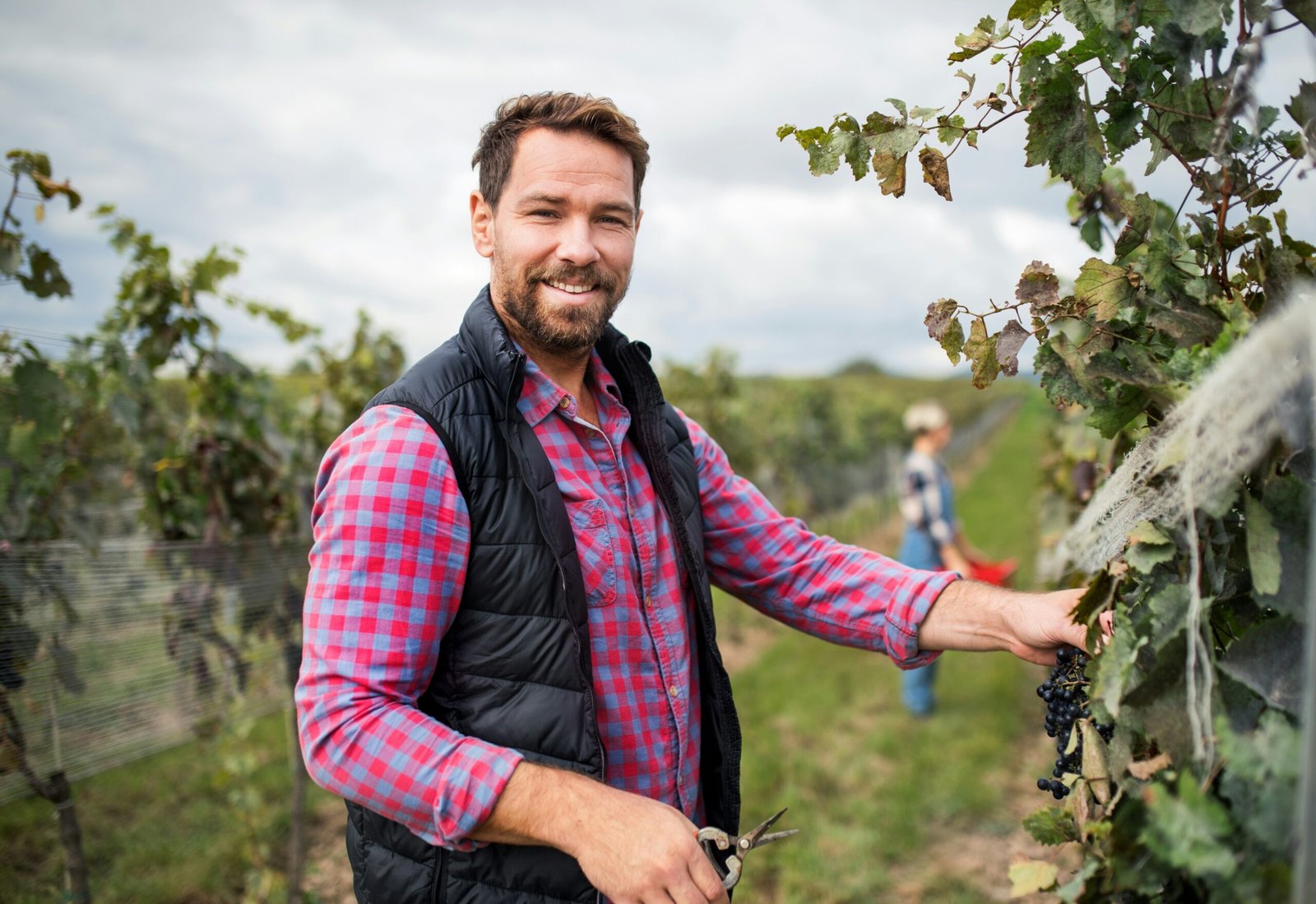Rémi Castel, vigneron