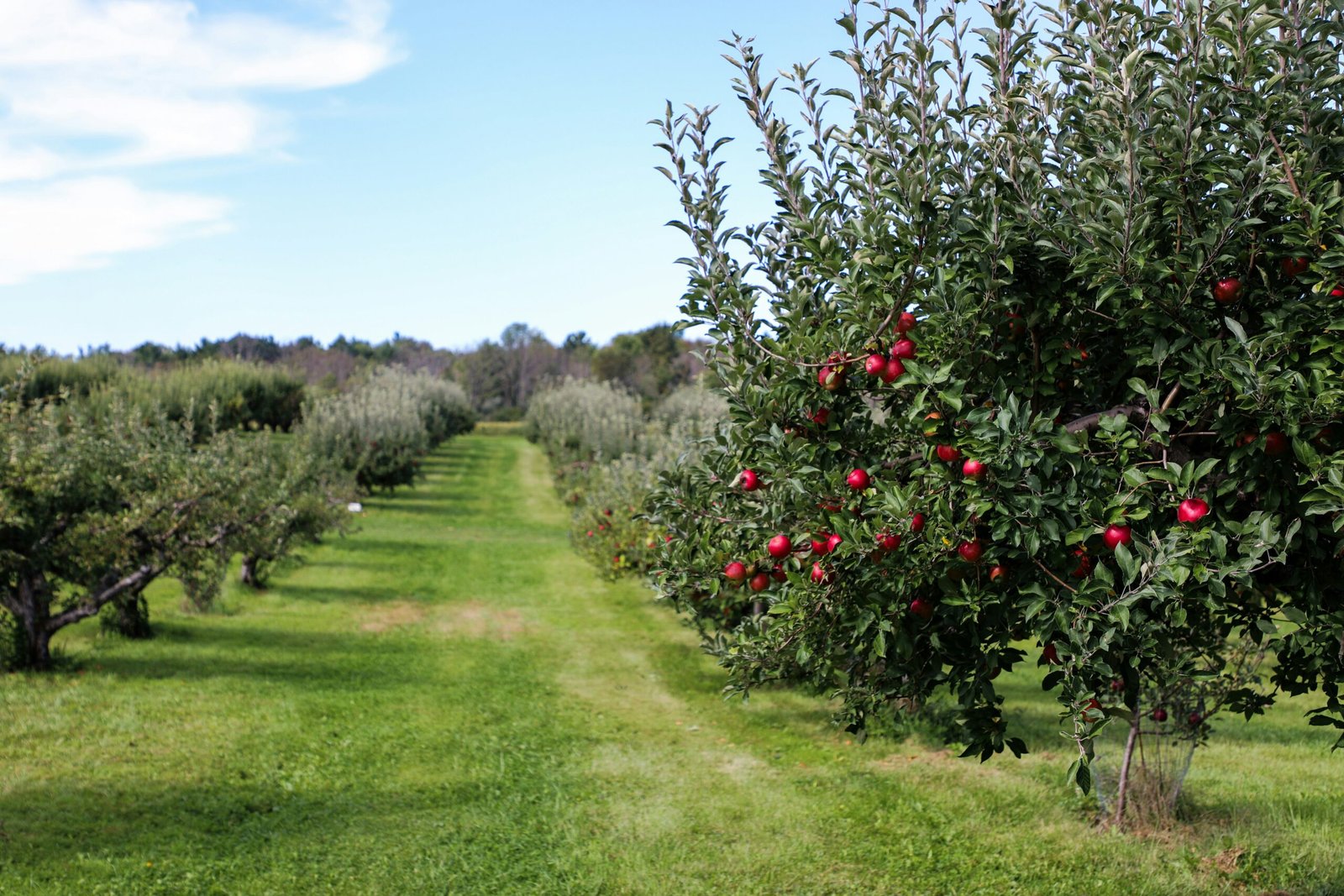 Famille Durand arboriculteur